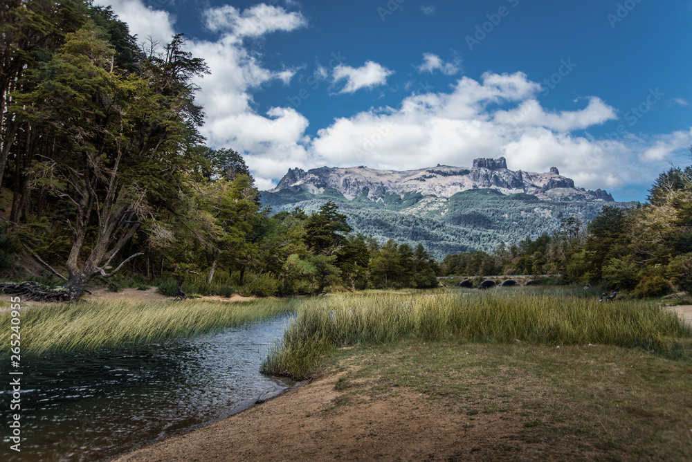 patagonia landscape. mountains and trees