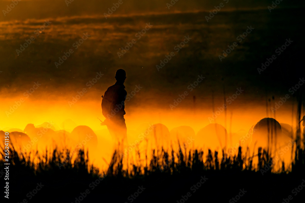 Fototapeta premium Sunset and shepherd. Red and black nature background. 