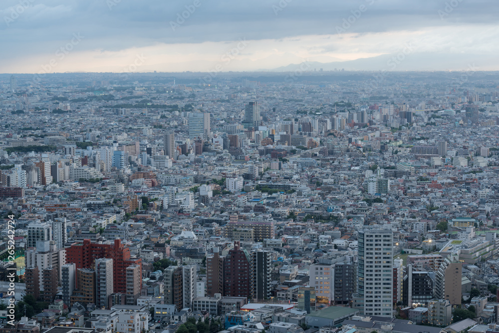 Aerial view of Tokyo suburb at dusk