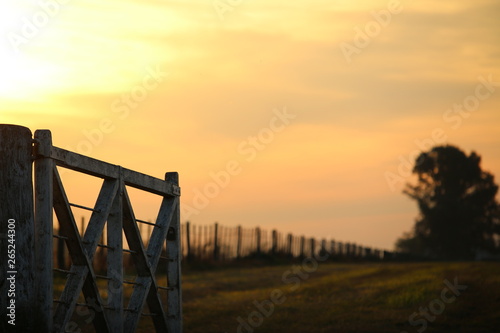 Sunset Field