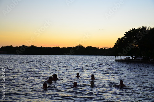 Sunset Swim