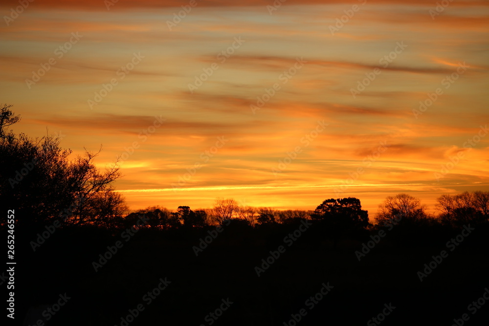 Sunset Sunset