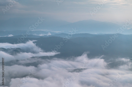 Misty mountain forest landscape in the morning,