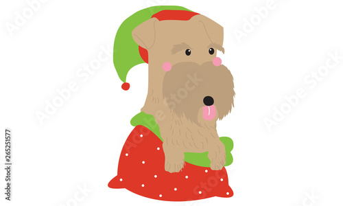 Cute dogs wearing Santa clause hat