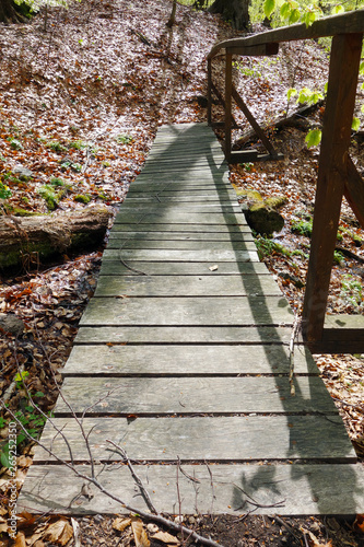 Forest wooden bridge in the woods