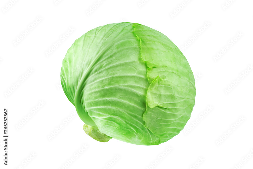 Whole head of green leafy cabbage on white background isolated close up, round ripe white headed cabbage, fresh vegetable design element, organic product illustration, studio shot Whole head of green leafy cabbage on white background isolated close up, round ripe white headed cabbage, fresh vegetable design element, organic product illustration, studio shot