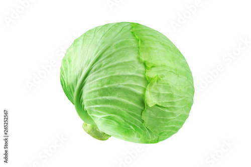 Whole head of green leafy cabbage on white background isolated close up, round ripe white headed cabbage, fresh vegetable design element, organic product illustration, studio shot