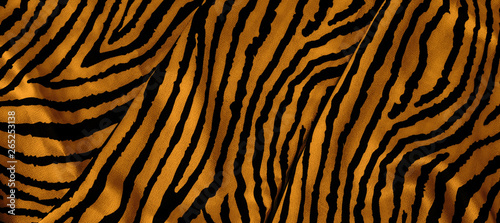 animal tiger skin