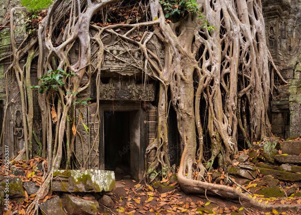 Obraz premium Mystical Overgrown Ta Prohm Temple, Angkor, Cambodia