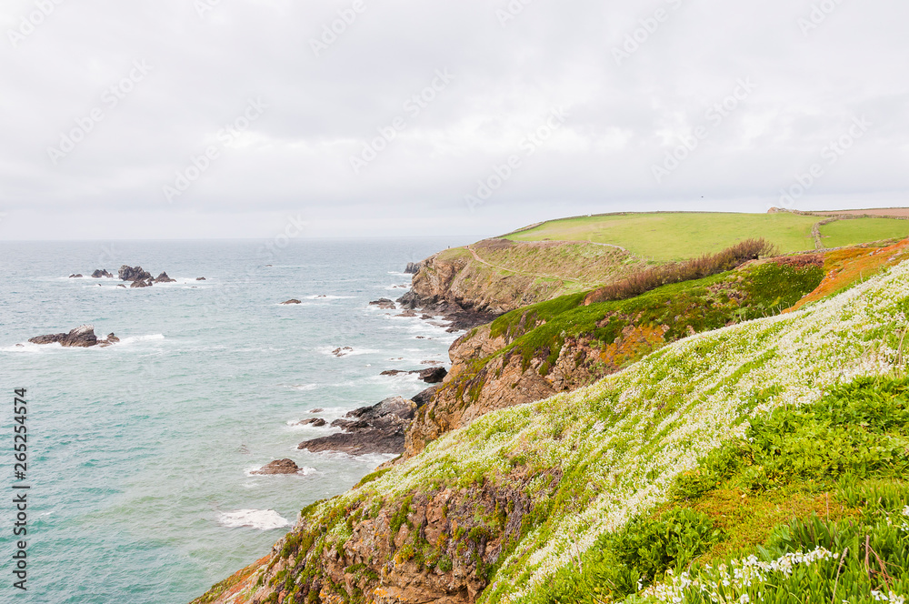 Lizard Point, Halbinsel, Küste, Steilküste, Küstenwanderweg, Landwirtschaft, Cornwall, Südengland Lizard Point, Halbinsel, Küste, Steilküste, Küstenwanderweg, Landwirtschaft, Cornwall, Südengland