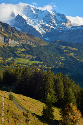 Mountain scene with Jungfrau peak near Swiss Alpine village Wengen in Switzerland.
