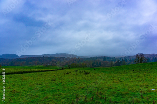 Green grass field Farmland in Kilmahog, Highlands, Scotland in cloudy day
