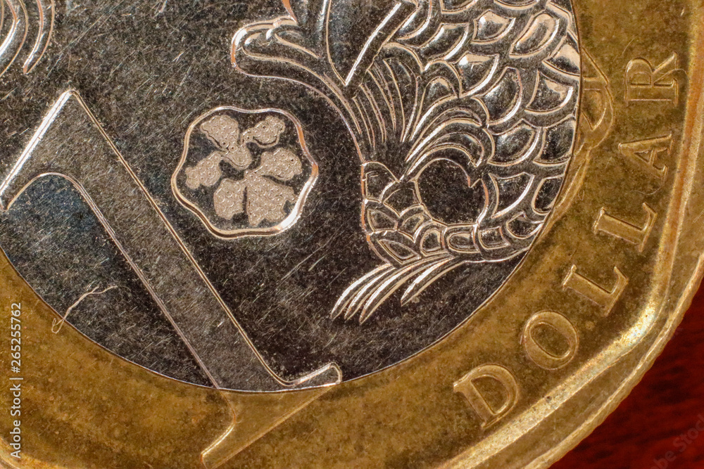Naklejka premium Singapore coins.