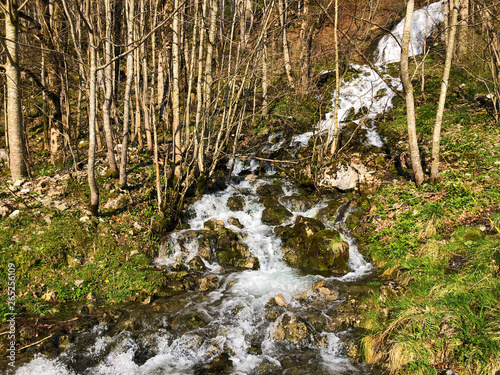 Water supply flowing source Tschuder with waterfall and karst spring or Karstquelle Tschuder, Schwende - Canton of Appenzell Innerrhoden (AI), Switzerland photo