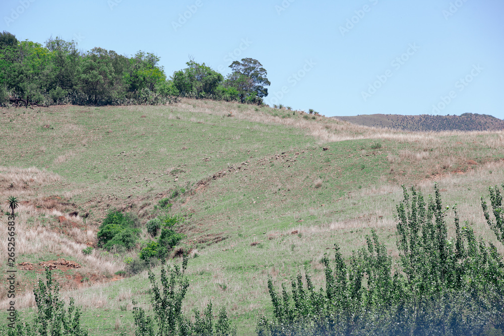 Φωτογραφία The rural homeland hills in kwa zulu natal is best viewed by steam train from the town of Creighton, South Africa