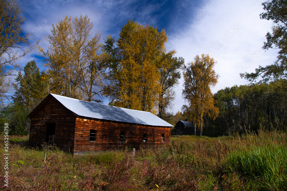 Obraz premium wood structures