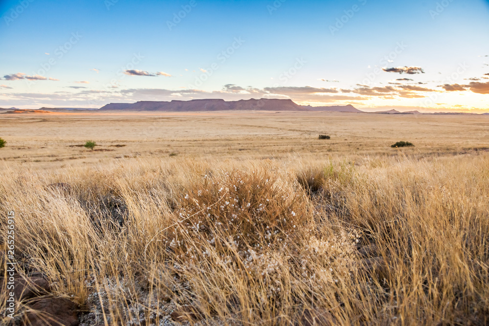 The dry and arid Karoo veld in the summertime, near Gariep dam, South Africa.