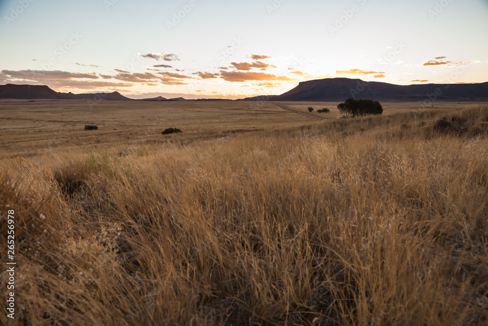 Obraz premium The dry and arid Karoo veld in the summertime, near Gariep dam, South Africa.