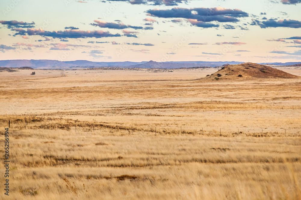 The dry and arid Karoo veld in the summertime, near Gariep dam, South Africa.