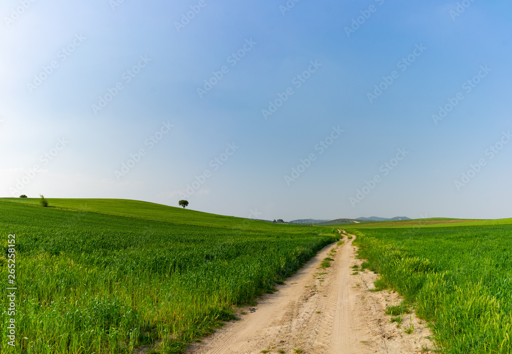 Grass road