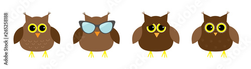 Cute owl set line. Big eyes, sunglasses. Cute cartoon kawaii funny character. Icons on white baby background. Isolated. Flat design.