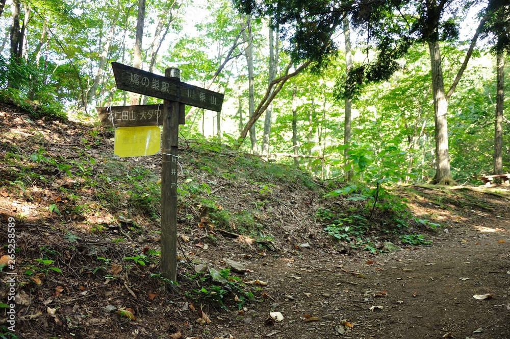 川苔山の船井戸