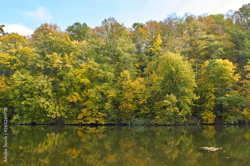 Green forest and river. Forest Lake. The river flows among trees. Beautiful view of nature. Landscape photo of green forest. Forest nature on a sunny day. Beautiful nature of Germany. Green forest and river. Forest Lake. The river flows among trees. Beautiful view of nature. Landscape photo of green forest. Forest nature on a sunny day. Beautiful nature of Germany.