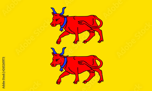 Vector flag of Bearn, region in France. Bearn province of France republic, in south-western France.