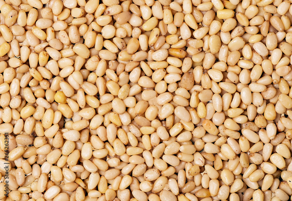 pine nut texture pine nut texture