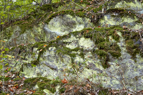 The texture of the stone overgrown with moss. The texture of the stone. Natural mountain stone in the forest. Stones overgrown with moss in the forest.