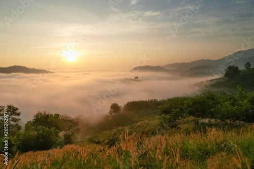 sunrise at Phu Huay Esan View Point, view of the hill around with sea of mist above Mekong river with soft red light in the sky background, Ban Muang, Sang Khom District, Nong Khai, Thailand. © Yuttana Joe