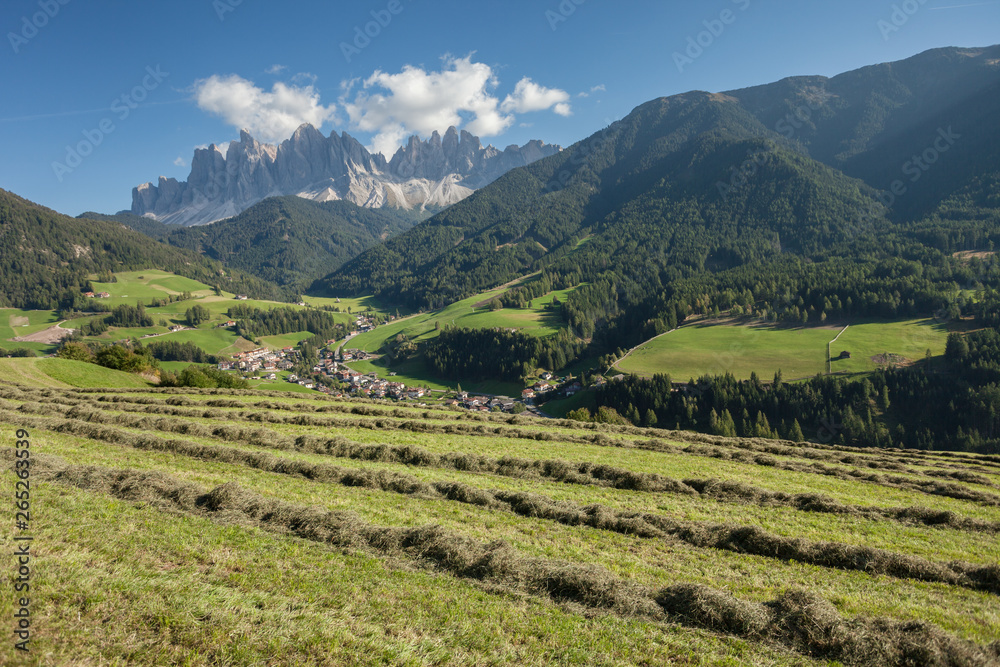 Rural scene during hay harvest in Villnoess in Dolomites