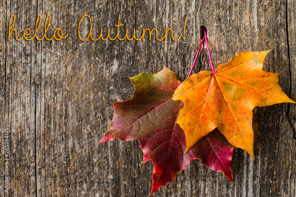 Obraz premium Autumn background with Hello Autumn letters and autumn leaves.
