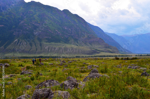 Mountain Altai. The valley of the river Chulcha