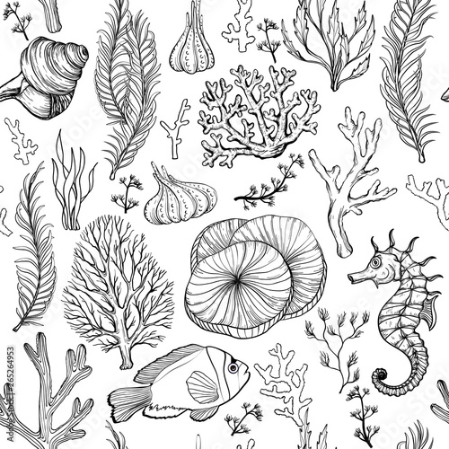 Seamless pattern with marine hand drawn corals. lack and white.