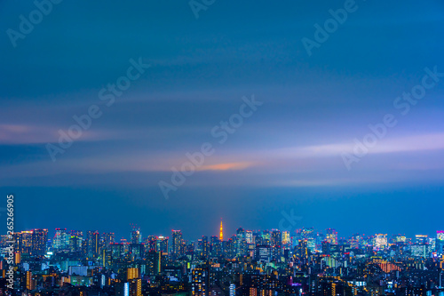 Tokyo city at night, Japan