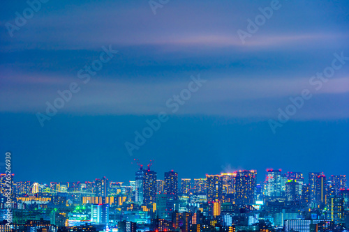 Tokyo city at night  Japan