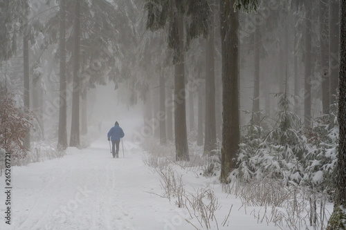 nebliger Winterwald mit Ski Langläufer © natros