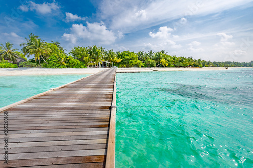 Fototapeta Naklejka Na Ścianę i Meble -  Amazing beach scene, long jetty into the palm trees. Maldives, paradise beach background, design banner.