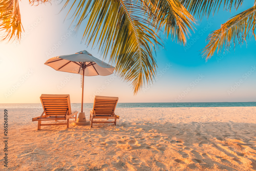 Beautiful tropical beach banner. White sand and coco palms travel tourism wide panorama background concept. Amazing beach landscape