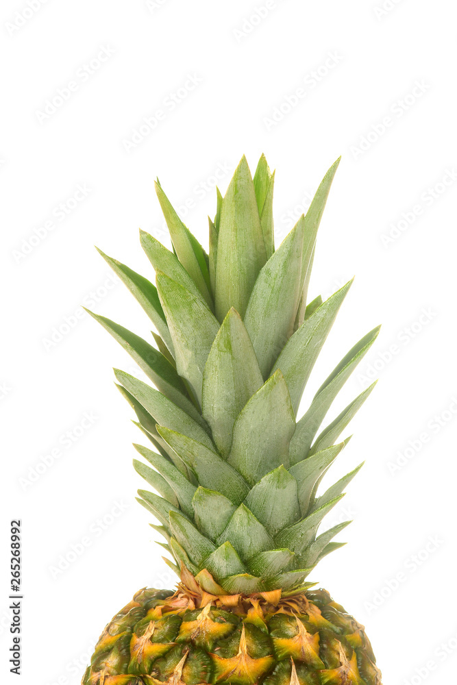 Large fresh ripe fruit pineapple on a white isolated background. fruit, summer. Large fresh ripe fruit pineapple on a white isolated background. fruit, summer.