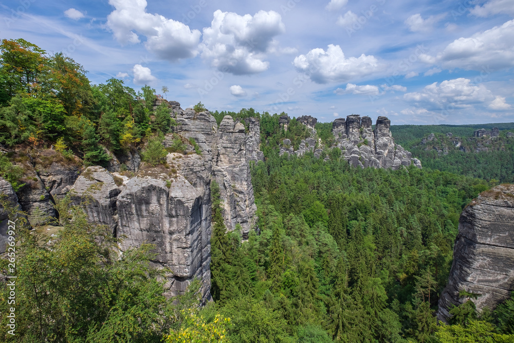 Obraz premium Felsen im Elbsandsteingebirge in der sächsischen Schweiz