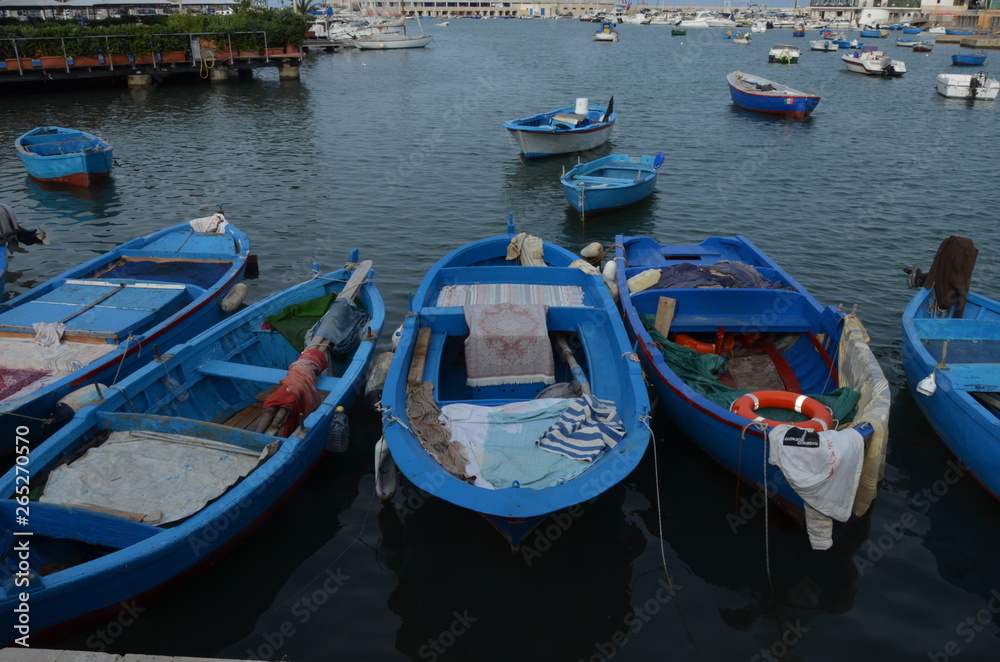 Evening view of marina with different Fishing boats