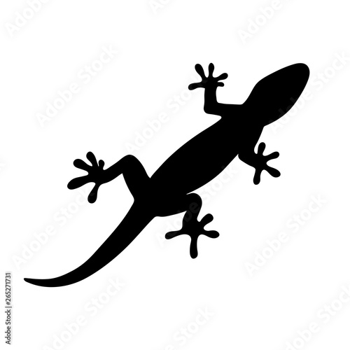 silhouette of gecko, lizard on white background. vector illustration