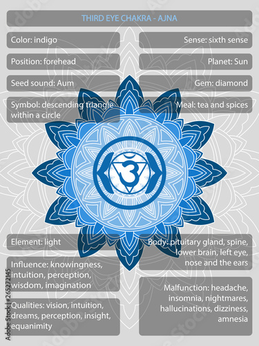 Chakras symbols with description of meanings infographic