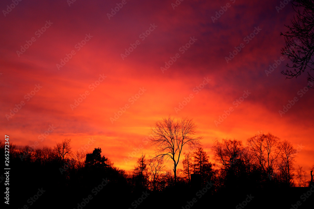 Bright photo of red sunset in the spring in the park