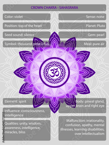 Chakras symbols with description of meanings infographic