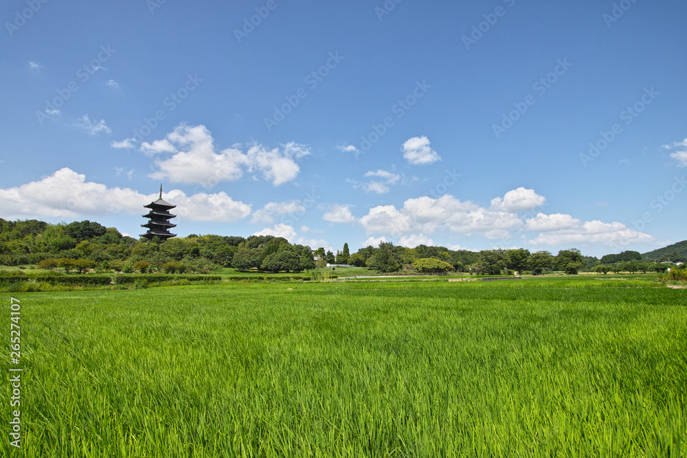 夏の備中国分寺