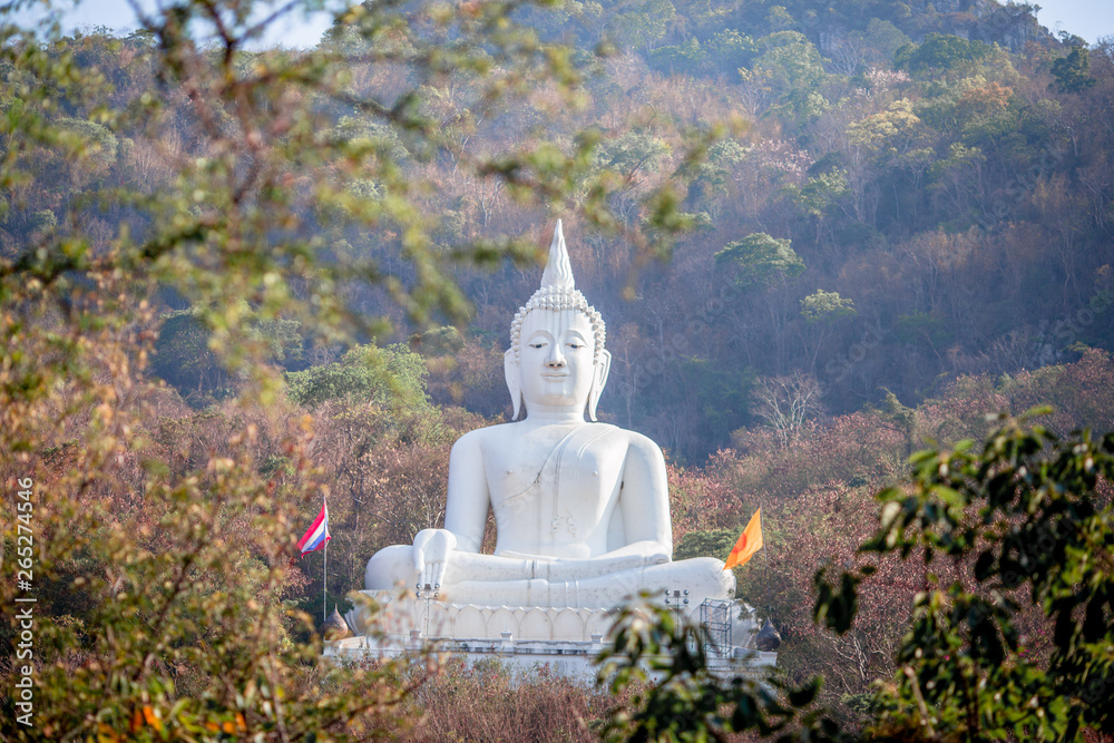 Obraz premium background of the large Buddha statue built on the mountain and surrounded by treeswith inWatThepPhithak Punnaram(Phra Buddha Sakon Sima Mongkhon)is a religious tourism destination in Korat,Thailand