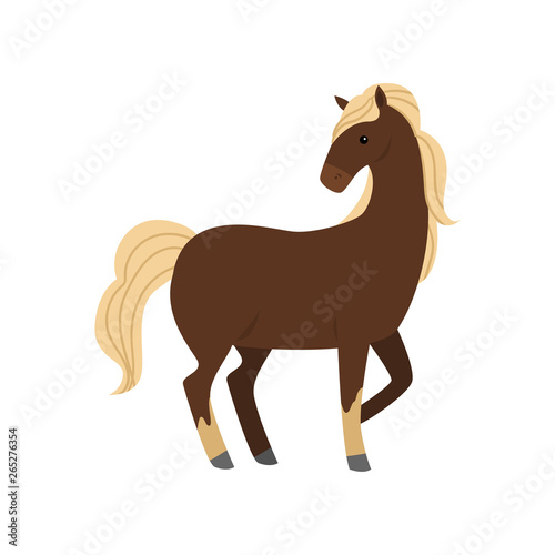Cute and beautiful brown horse with white hair, long leg